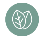 noun_germany_661928g