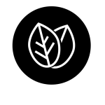 noun_green_661928